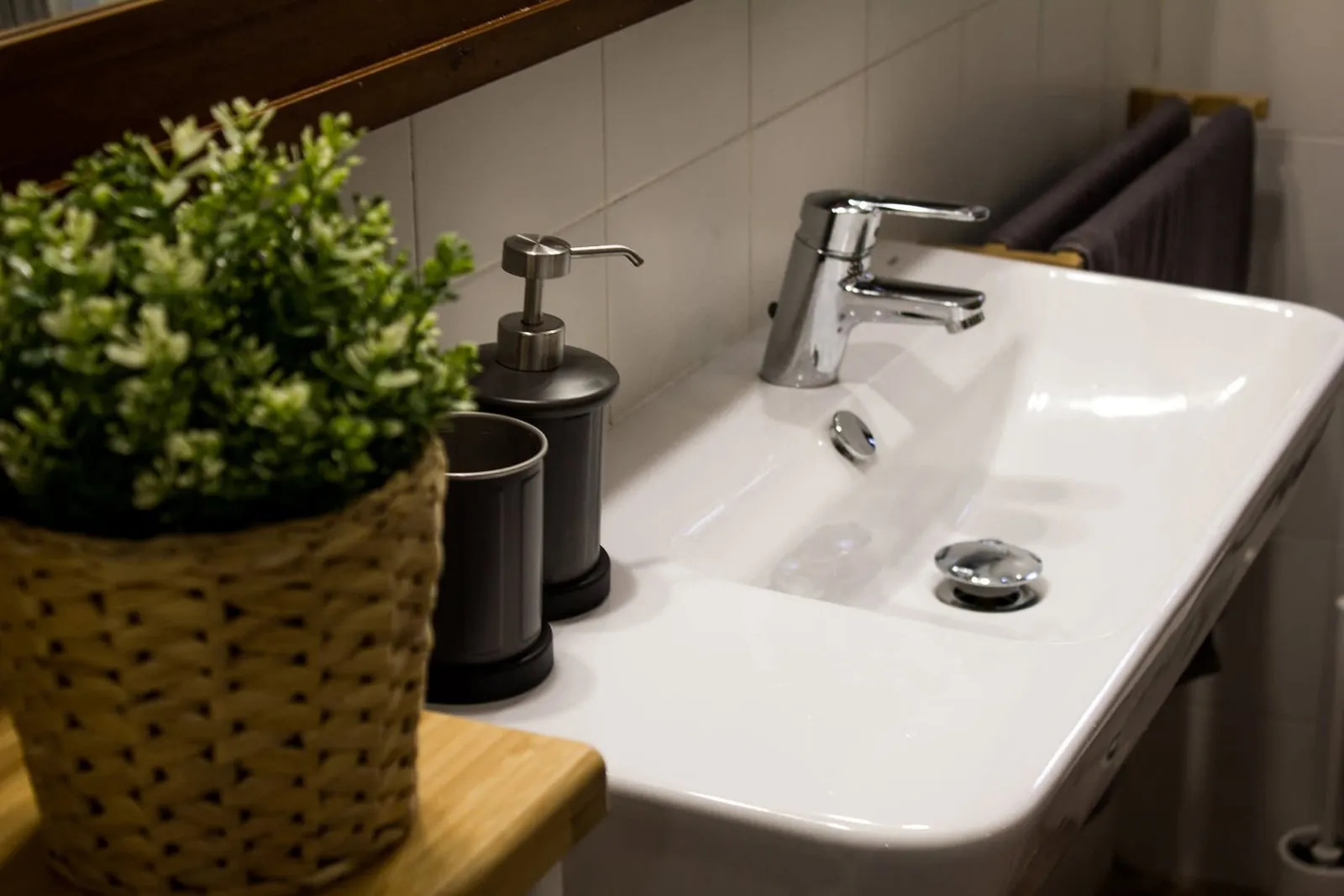 Lavabo del baño con plantas y espejo con marco de madera