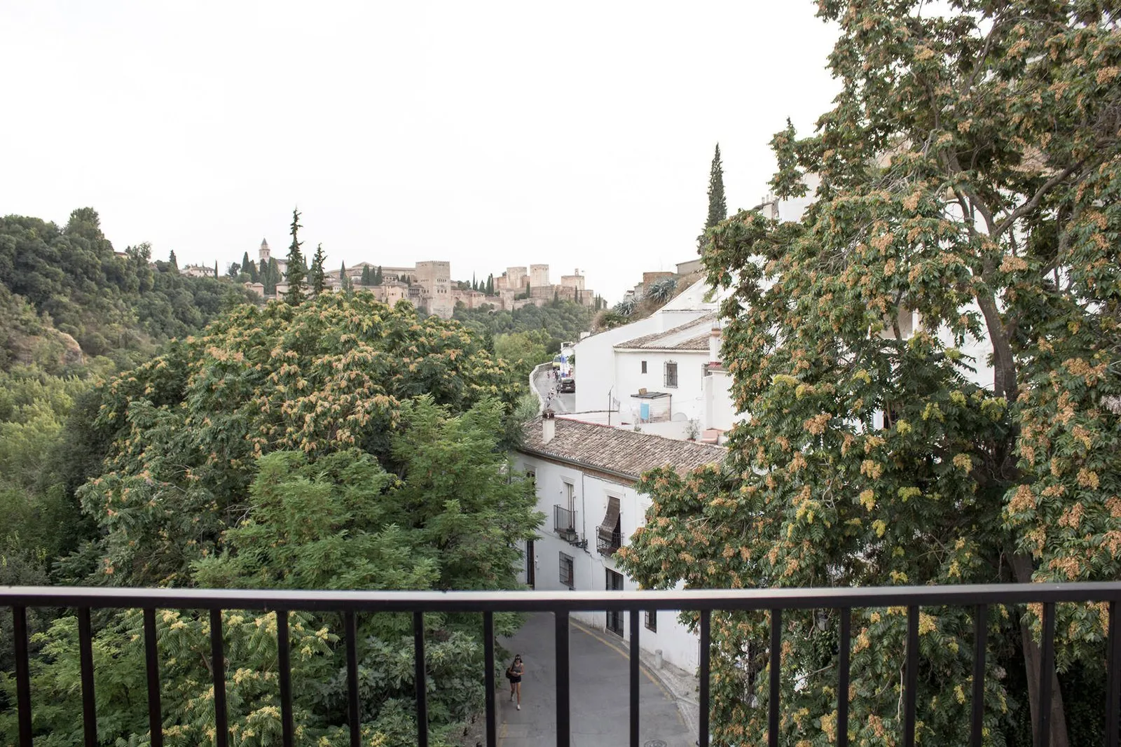 Vistas desde la terraza al bosque de la Alhambra y las casas del barrio